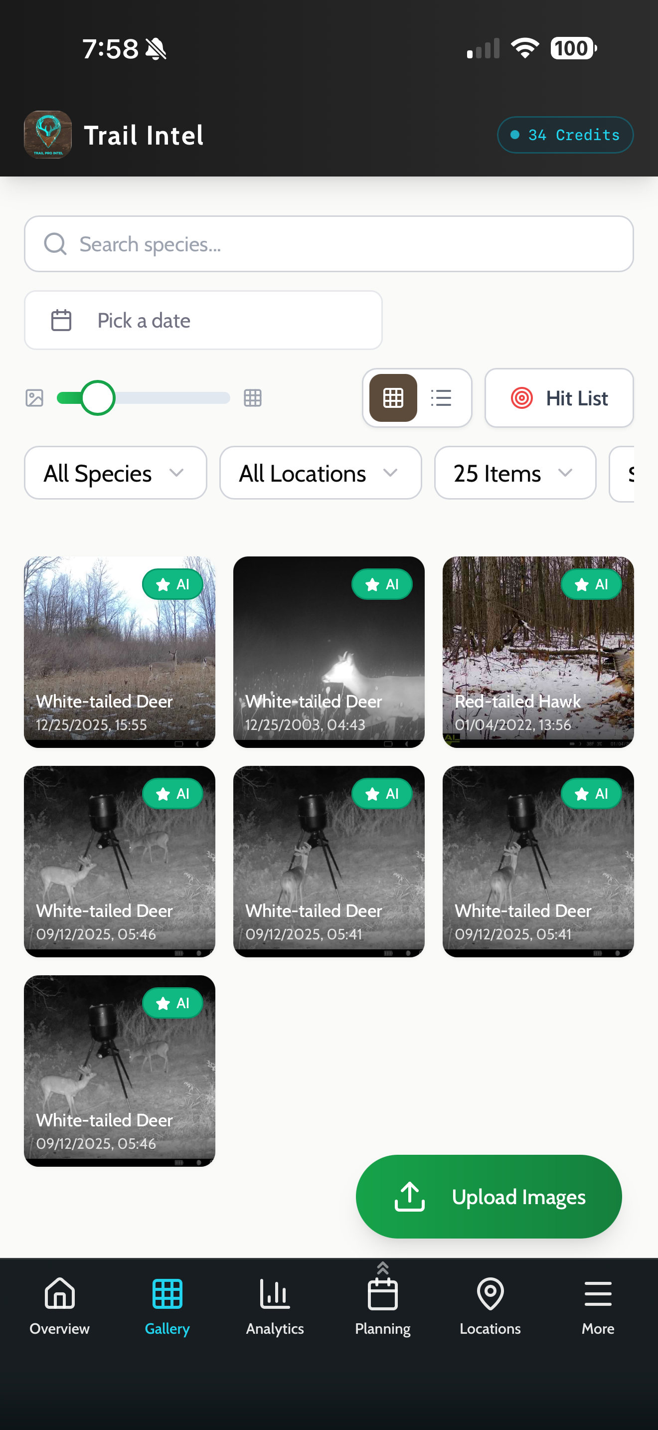 Instant Species ID